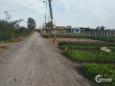 Bán đất thổ cư MT đường nhựa huyện Cần Giuộc, Long An, SHR, giá tốt