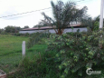 Bán 500m2 đất vườn Thái Mỹ Củ Chi , sổ riêng sang tên liền trong ngày.