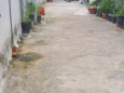 Bán lô đất hẻm xe hơi 77 đường Chuyên Dùng  9 Quận 7