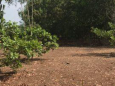Cần bán đất Thống Nhất sổ hồng riêng, cách DT769 khoảng 200m