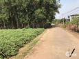 Đất ĐT769 chính chủ 490triệu/291m2 gần khu công nghiệp Dầu Giây