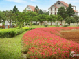 Bán lô góc 2 mặt tiền tại khu sinh thái Phùng - biệt thự cao cấp The Phoenix Garden.LH 0961461594