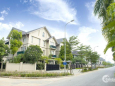 Bán biệt thự đơn lập và song lập Sunny Garden City - CEO Quốc Oai