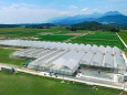 Sở hữu Trang Trại Và Nghĩ Dưỡng FARMSATY G7 tại Hồ Tràm_Vũng Tàu Với giá cực kì