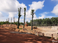 Đất nền ngay cạnh khu đô thị Vingroup bắc tân uyên, giá rẻ đầu tư chiết khấu cao