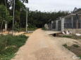 Nợ ngân hàng bán gấp đất ngay trung tâm Bàu Cạn, Long Thành. SHR. CỰC RẺ