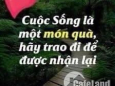 CẦN BÁN ĐẤT SÀO BIÊT THỰ  ,NHÀ VƯỜN . XẢ BÀU HÀM 2 SHR