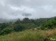 Lô đất view săn mây, diện tích lớn 1200 m2 Sín Chải