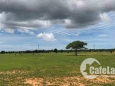 6000m2 ngay mặt tiền liên huyện, giá 900 triệu đồng