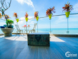 Hot! Căn Hộ Gateway Vũng Tàu 2PN Tầng Cao View biển Trực diện LH: 0942882192