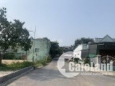 Bán đất trung tâm Cam Lâm Khánh Hòa đường nhựa QH rộng 30m giá rẻ.