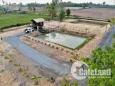 Đất vườn củ chi giá rẻ 1150m2 1ty640 triệu sổ hồng riêng