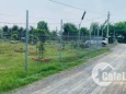 Đất vườn củ chi giá rẻ 1150m2 1ty640 triệu sổ hồng riêng