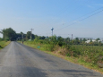 Đất Long An 2 hecta đất nông nghiệp QL62 cách TP. Tân An 15km mở nhà xưởng cty