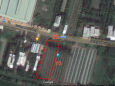 Đất nền 1600m2 mặt tiền,TT Cờ Đỏ, 200 thổ, Cần Thơ