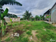 Cần bán nhanh lô đất Ninh Phụng Diện tích :151m2 ( 6, 5*20m).