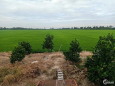 Bán đất ruộng ấp Mỹ Chánh 4, xã Hậu Mỹ Bắc A,Cái Bè, Tiền Giang