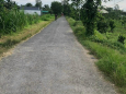 Cần bán nền tại xã Bình Phước, Mang Thít, Vĩnh Long