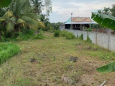 Đất nền Tân Long_Mang Thít dt:525,7m²