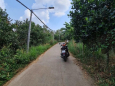 Cần bán 1 nền đất thổ cư giá rẻ tại phường Xuân Tân TP Long Khánh...