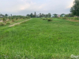 Đất chưa qua đầu tư, cách Khu Minh Linh 100m