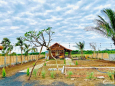 Kẹt tiền nên bán nhà vườn đang Hoàn thiện,  nhà vườn view ruộng