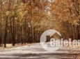 Bán đất Bình Phước gần khu công nghiệp + trung tâm hành chính, mặt tiền đường 16
