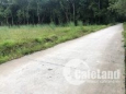 Đất đẹp, giá đẹp thích hợp đầu tư,Bình Phước cần bán gấp