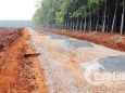 Cần bán gấp đất Đồng Phú gần KCN Becamex Bình Phước.