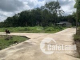 Bán nhanh 2100m2 đất nằm ngay tuyến số 3(42m)