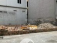Cần bán lô đất tại Ngô Xuân Quảng, Trâu Quỳ, Gia Lâm, Hà Nội