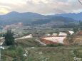 Đất đầu tư Giàng Tra, Tả Phìn, Sapa, 230m2, MT 12m, view ruộng bậc thang cực đẹp