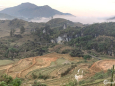 Đất đầu tư Giàng Tra, Tả Phìn, Sapa, 230m2, MT 12m, view ruộng bậc thang cực đẹp