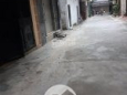 Ngõ 2 ô tô tránh, bán đất, rộng 62m2, Vũ Tông Phan, Quận Thanh Xuân