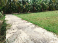 Bán đất Bình Ninh, Chợ Gạo 922mv đường bê tông 3m