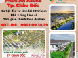 Mở Bán Giai Đoạn Đầu Dự Án Asuka - Tp. Châu Đốc