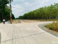 Đất vườn củ chi mặt tiền đường 500m2 Khu dân cư sổ riêng