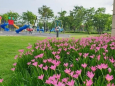 BDS Hùng Vĩ Land Park Riverside 75M2 - Đ Nam - Trục Chính 20m Sổ Hồng 9,1 tỷ