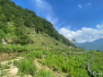 Bán gấp đất Y Tý, Lào Cai, 3000m2m MT 90m, view săn mây, 0942.365.111