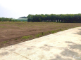 Cần bán gấp lô đất ngay sát ĐT 756 C, sát KCN Tân Quan, Bình Phước chỉ cần 370tr