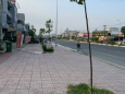 Ban 2600m2 đất mặt tiền đường Lý Thái Tổ ở Phước Thiền,  shr có thổ cư