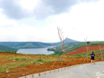 đất bảo lộc view hồ, 500m2 sổ riêng giá F0