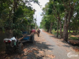 Bán đất 1/TL8, xe công ra vào thoải mái, xã Phước Vĩnh An, Củ Chi (60x209).