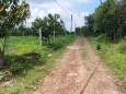 cần bán gấp đất Vườn Xoài,Phú Ngọc, Định Quán. Giá 750tr LH 0349 544 767