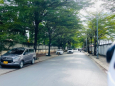 Bán đất Hồ Ngọc Lãm gần Đại Lộ Võ văn Kiệt