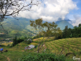 Đất nền SaPa view thung lũng Mường Hoa giá chỉ 5 triệu/m2
