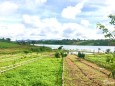 Đất Nền Lâm Hà, Lâm Đồng View Hồ PhúcThọ Gía Tốt