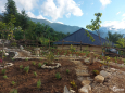 Đất lành Y TÝ-SAPA2 ,homestay Trình Tường ,đón du khách