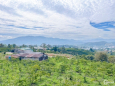 Bán 3,3 sào 1tỉ9 có view thích hợp xây homestay, nghỉ dưỡng, bao sổ