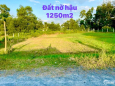 Đất Vườn Củ Chi 1250m2, giá 1,77 tỷ.SHR, thổ cư 100m2